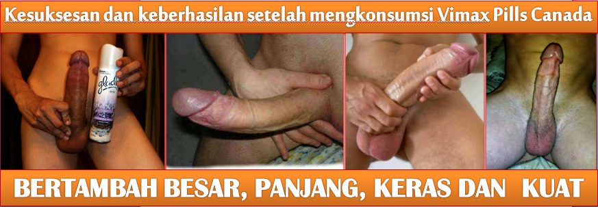 hasil vimax