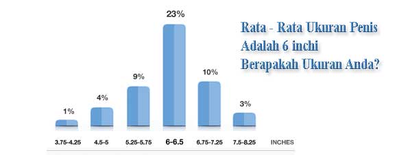Survey Ukuran Penis Penggunaan Vimax