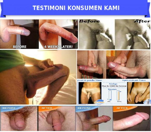 hasil vimax